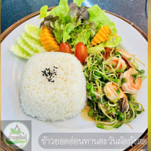 ข้าวยอดอ่อนทานตะวันผัดกุ้งสด